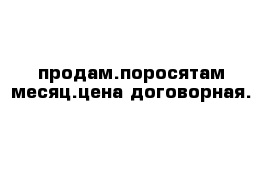 продам.поросятам месяц.цена договорная.